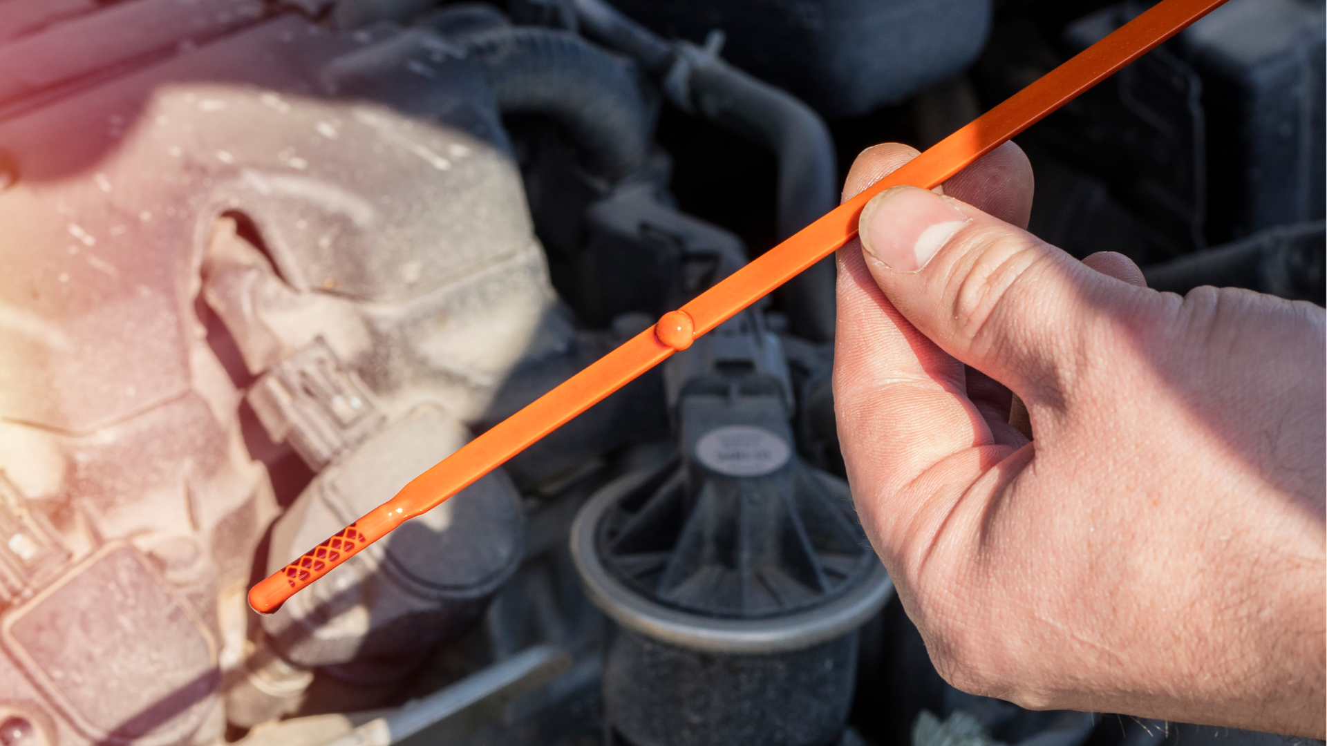 Car oil dipstick showing oil level check