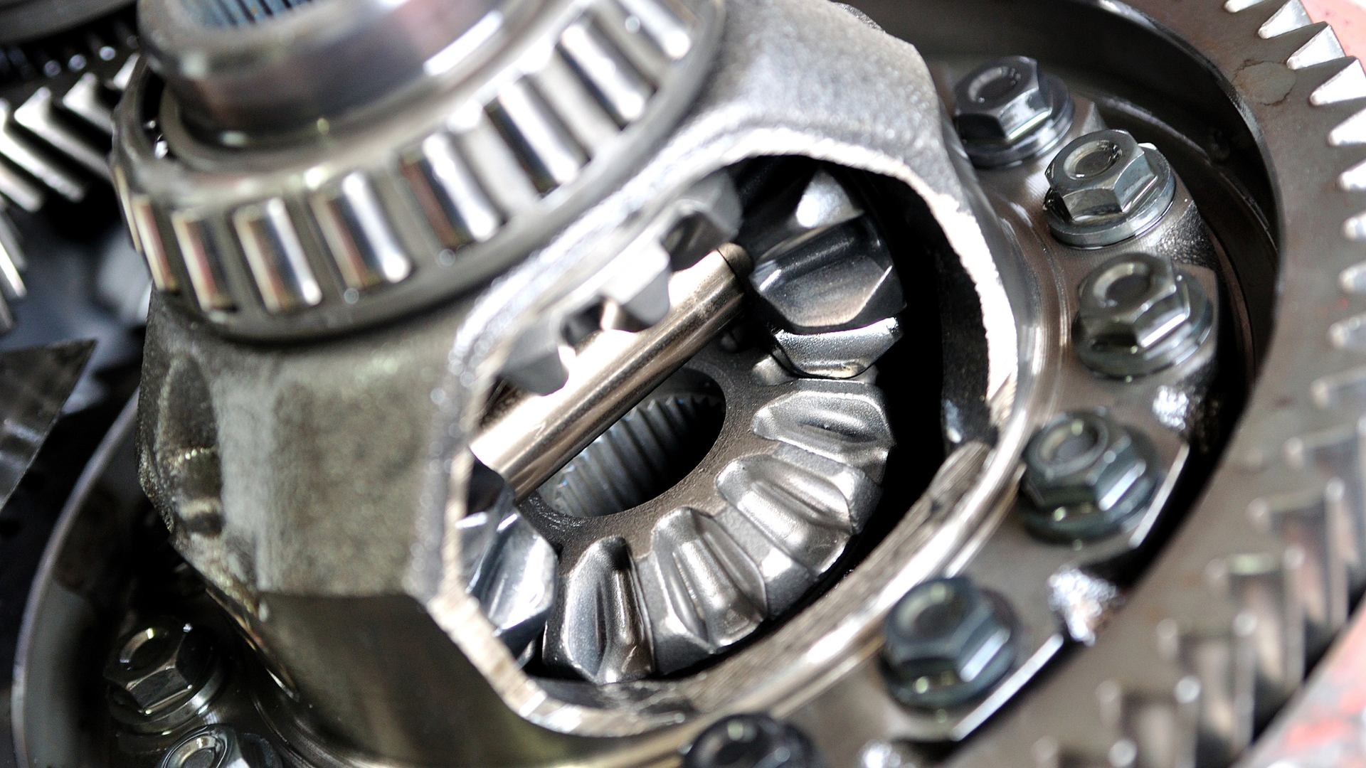 Differential gears during differential fluid service inspection