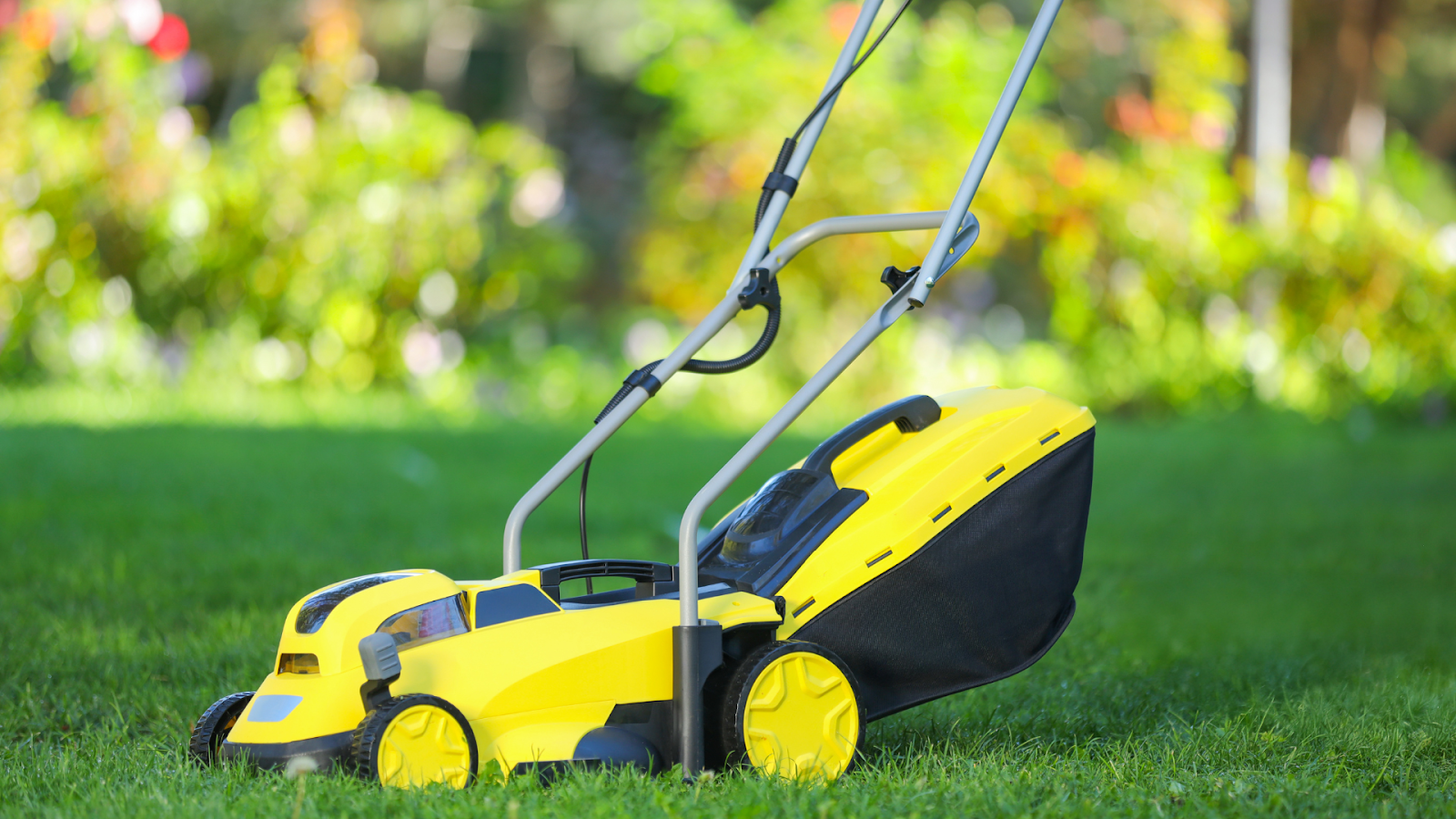 Gas lawn mower on grass lawn