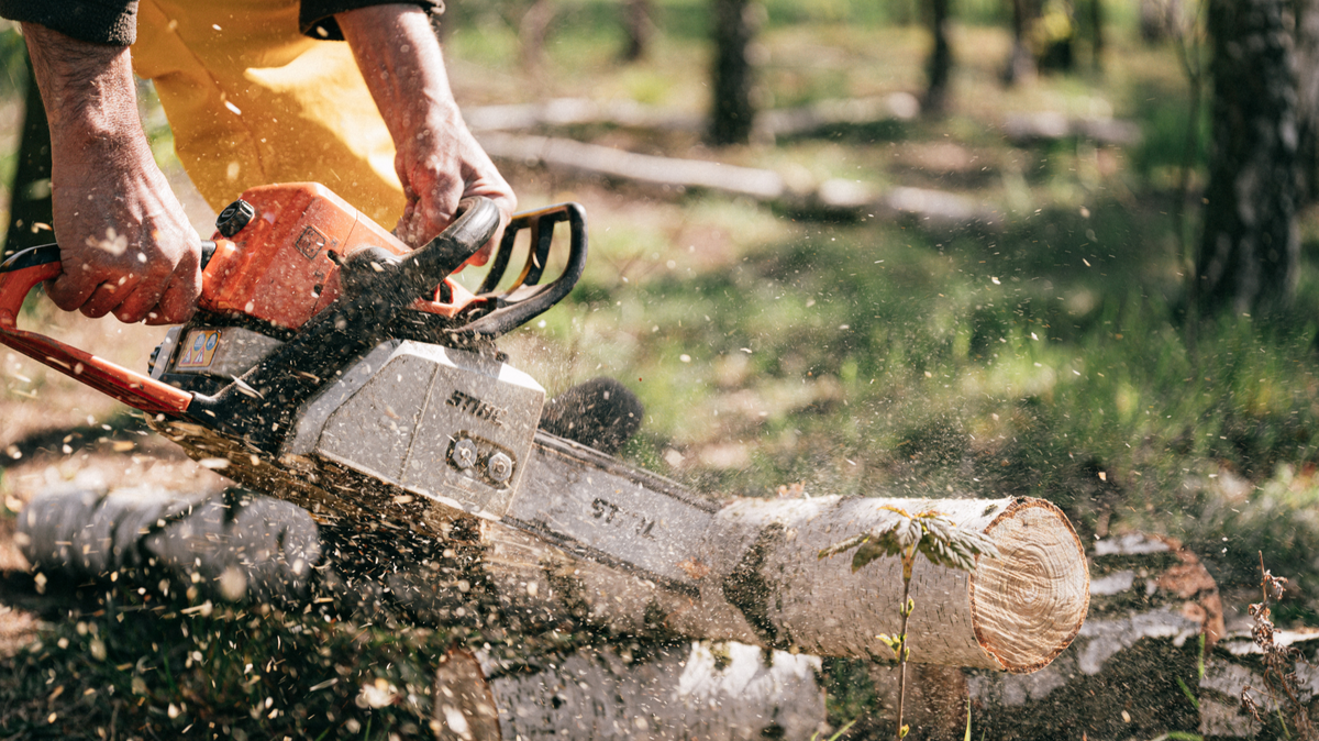 Person using chainsaw to cut a log