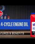 VP 4-Cycle Engine Oil - SAE 30 / 10W30 Full Synthetic Small Engine Oil