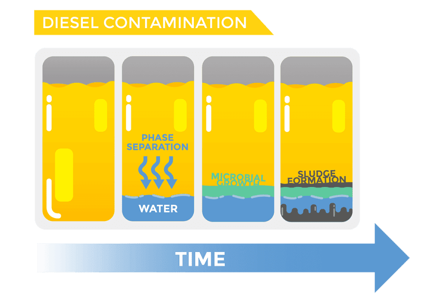 Diesel contamination time lapse graphic